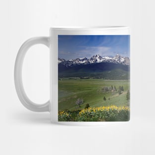 850_2025 Mug